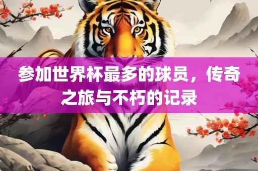 参加世界杯最多的球员，传奇之旅与不朽的记录漯河市盈旭机械设备有限公司