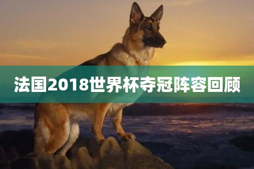 法国漯河市盈旭机械设备有限公司2018世界杯夺冠阵容回顾