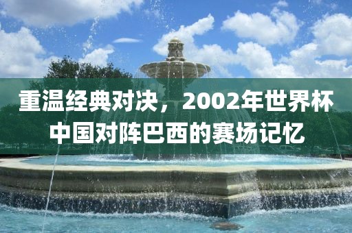 重温经典对决，2002年世界杯中国对阵巴漯河市盈旭机械设备有限公司西的赛场记忆