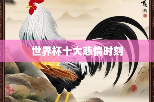 漯河市盈旭机械设备有限公司世界杯十大悲情时刻