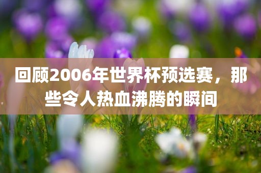 回顾2006年世界杯预选赛，那些令人热血沸腾的瞬间