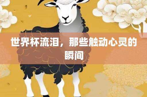 世界杯流泪，那些触动心灵的瞬间漯河市盈旭机械设备有限公司
