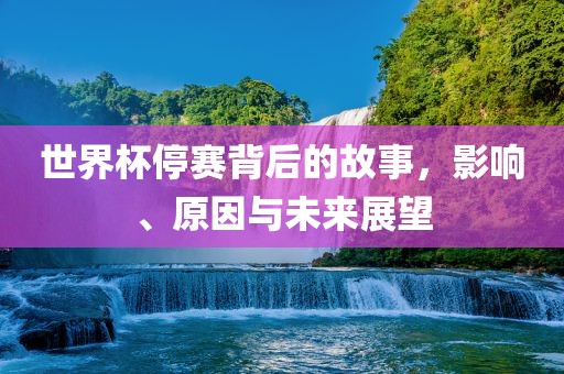世界杯停赛背后的故漯河市盈旭机械设备有限公司事，影响、原因与未来展望
