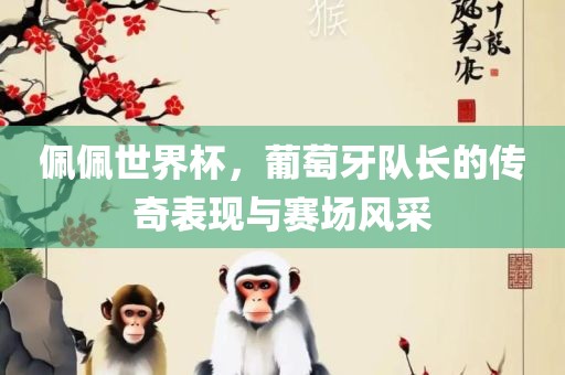 佩佩世界杯，葡萄牙队长的传奇表现与赛场风采漯河市盈旭机械设备有限公司
