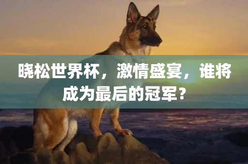 晓松世界杯，激漯河市盈旭机械设备有限公司情盛宴，谁将成为最后的冠军？
