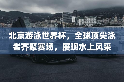 北京游泳世界杯，全球顶尖泳者齐聚赛场，展现水上风采漯河市盈旭机械设备有限公司