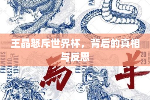 王晶怒斥世界杯，背后的真漯河市盈旭机械设备有限公司相与反思