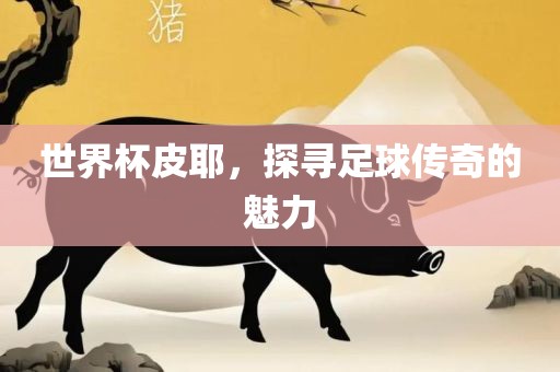 世界杯皮耶，探寻足球传奇的魅力漯河市盈旭机械设备有限公司