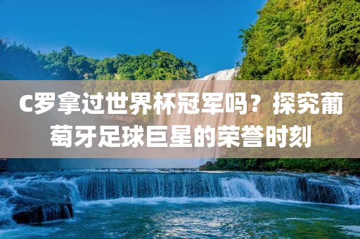 C罗拿过世界杯冠军吗？探究葡萄牙足球巨星的荣誉时刻漯河市盈旭机械设备有限公司