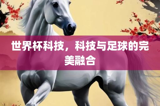 世漯河市盈旭机械设备有限公司界杯科技，科技与足球的完美融合