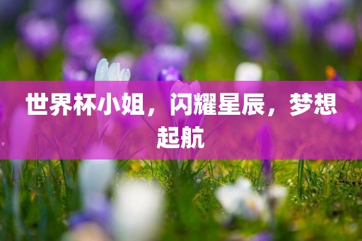 世界杯小姐，闪耀星辰，漯河市盈旭机械设备有限公司梦想起航