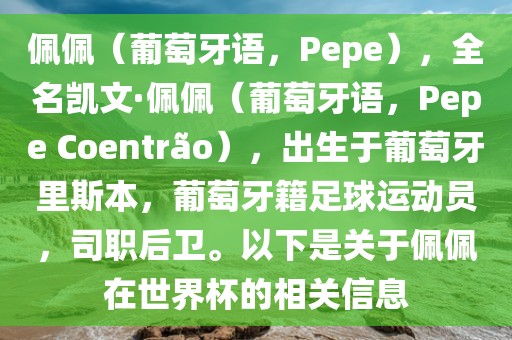 佩佩（葡萄牙语，Pepe），全名凯文·佩佩（葡萄牙语，Pepe Coentr?o），出生于葡萄牙里斯本，葡萄牙籍足球运动员，司职后卫。以下是关于佩佩在世界杯的相关信息