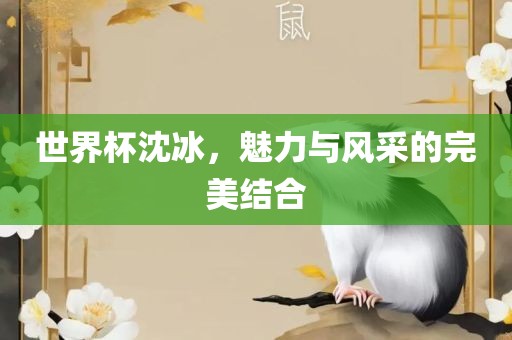 世界杯沈冰，魅力与风采的完美结合漯河市盈旭机械设备有限公司