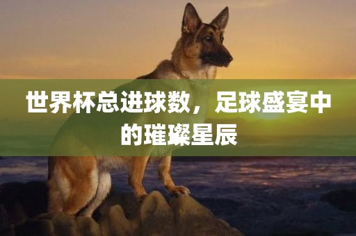 世界杯总进球数，足球盛宴中的璀璨星辰漯河市盈旭机械设备有限公司