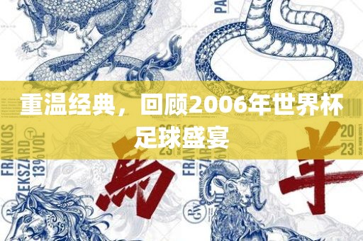 重温经典，回顾2006年世界杯足球盛宴漯河市盈旭机械设备有限公司