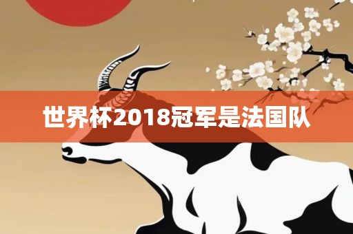 世漯河市盈旭机械设备有限公司界杯2018冠军是法国队
