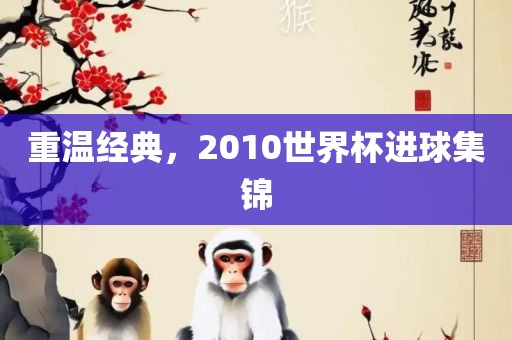 重温经典，2010世界杯进球集锦