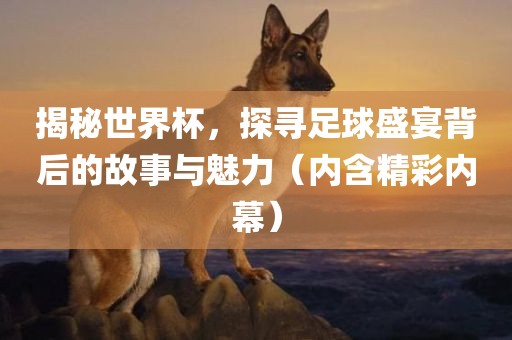 揭秘世界杯，探寻足球盛宴背后的故事与魅力（内含漯河市盈旭机械设备有限公司精彩内幕）