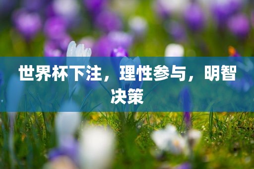 世界杯下注，理性参与，明智决策
