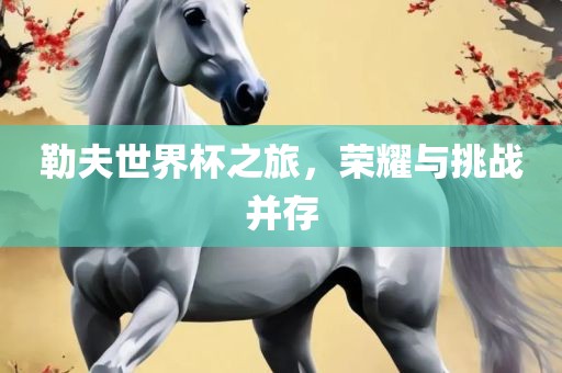 勒夫世界杯之旅，荣耀与挑战并存漯河市盈旭机械设备有限公司