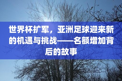 世界杯扩军，亚洲足球迎来新的机遇与挑战——名额增加背后的故事漯河市盈旭机械设备有限公司