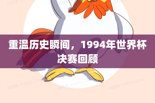 重温历史瞬间，1994年漯河市盈旭机械设备有限公司世界杯决赛回顾