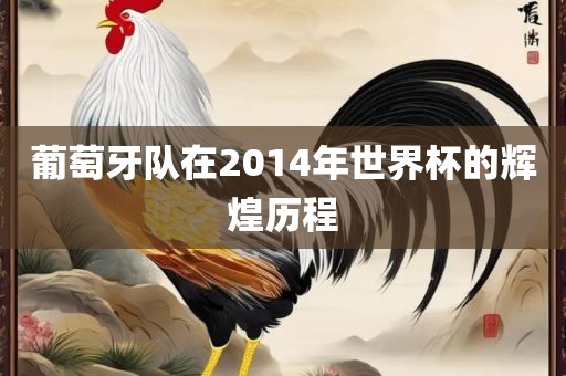 葡萄牙队在2014年世界杯的辉煌历程漯河市盈旭机械设备有限公司