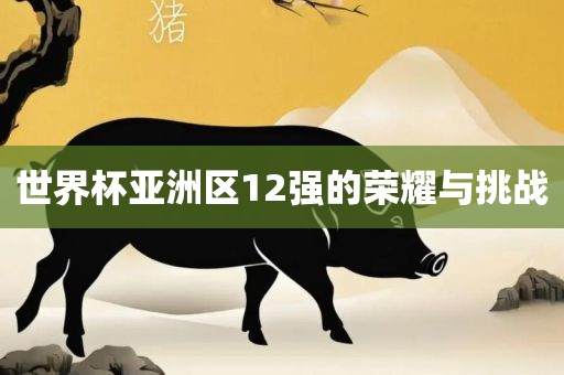 世界杯亚洲区12强的荣耀与挑战
