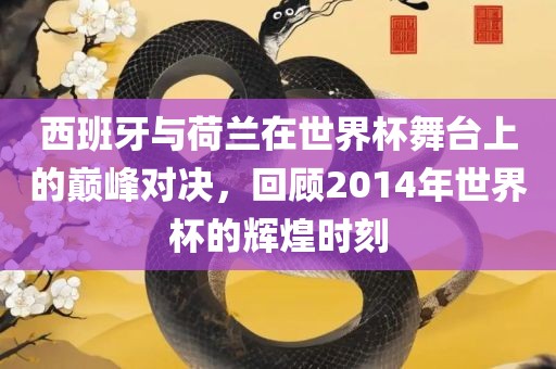 西班牙与荷兰在世界杯舞台上的巅峰对决，回顾2014年世界杯的辉煌时刻漯河市盈旭机械设备有限公司