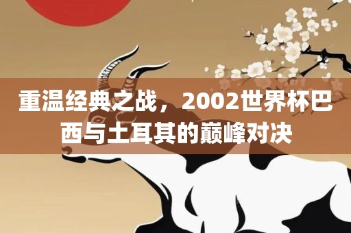 重温经典之战漯河市盈旭机械设备有限公司，2002世界杯巴西与土耳其的巅峰对决