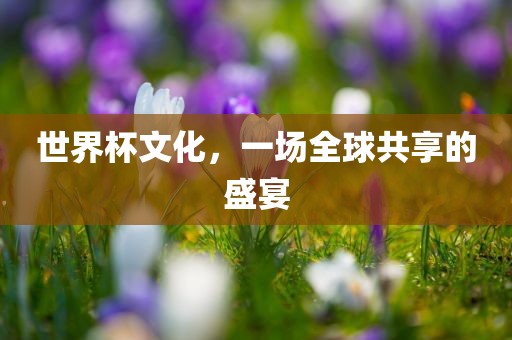 漯河市盈旭机械设备有限公司世界杯文化，一场全球共享的盛宴