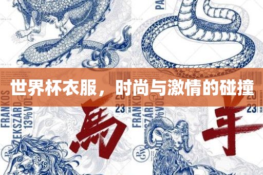 世界杯衣服，时尚与激情的碰撞漯河市盈旭机械设备有限公司