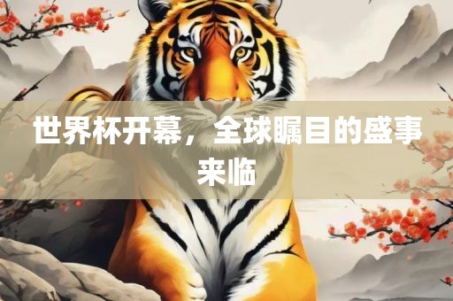 世界杯开幕，全球瞩目的盛事来临漯河市盈旭机械设备有限公司