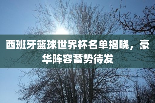 西班牙篮球世界杯名单揭晓，豪华阵容蓄势待发漯河市盈旭机械设备有限公司