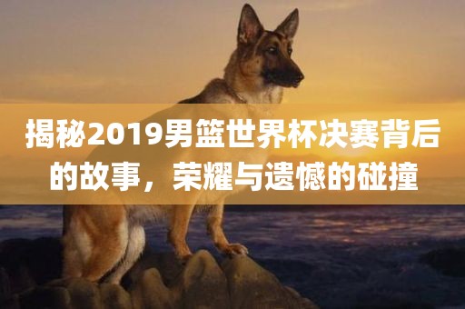 揭秘2019男篮世界杯决赛背后的故事，荣漯河市盈旭机械设备有限公司耀与遗憾的碰撞