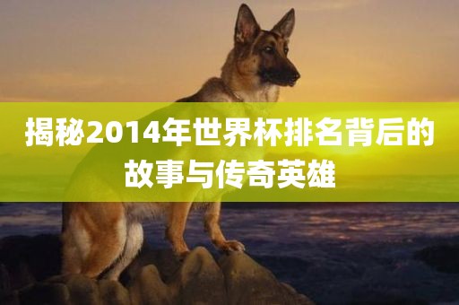 揭秘2014年世界杯排名背后的故事与传奇英雄漯河市盈旭机械设备有限公司