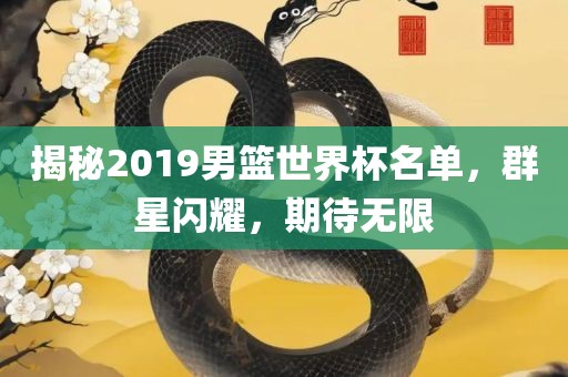 揭秘2019男篮世界杯名漯河市盈旭机械设备有限公司单，群星闪耀，期待无限