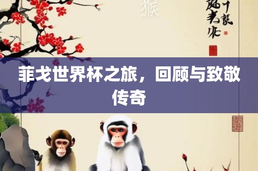 菲戈世界杯之旅，回顾与致敬漯河市盈旭机械设备有限公司传奇