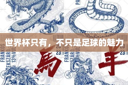 世界杯只有，不只是足球的魅力