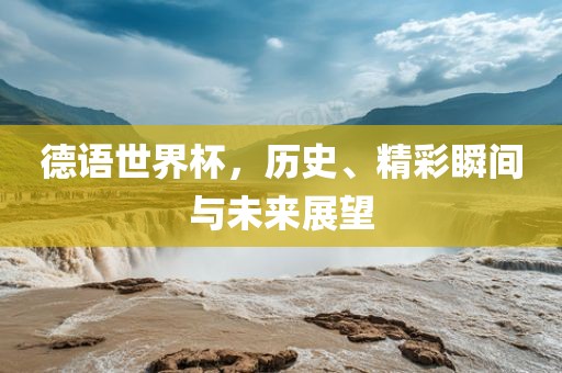 历史与未来展望