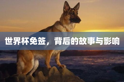 世界杯免签，背后的故事与影响