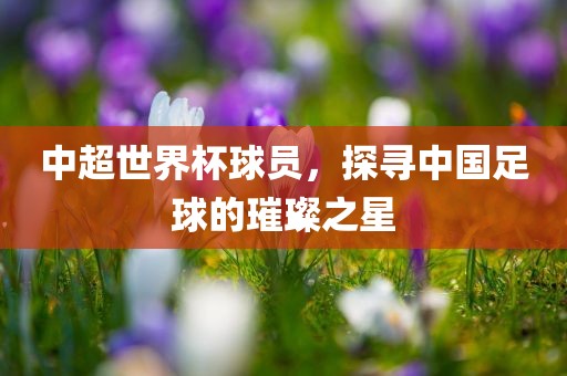 中漯河市盈旭机械设备有限公司超世界杯球员，探寻中国足球的璀璨之星