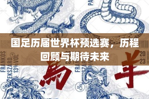 国足历届世界杯预选赛，历程回顾与期待漯河市盈旭机械设备有限公司未来