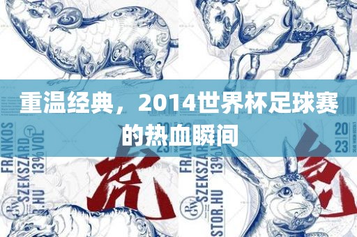 重温经典，2014世界漯河市盈旭机械设备有限公司杯足球赛的热血瞬间