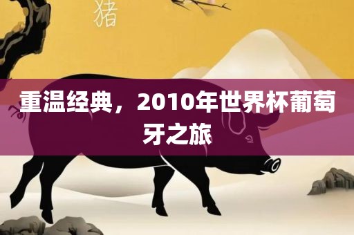 重温经典，2010年世界杯葡萄牙之旅