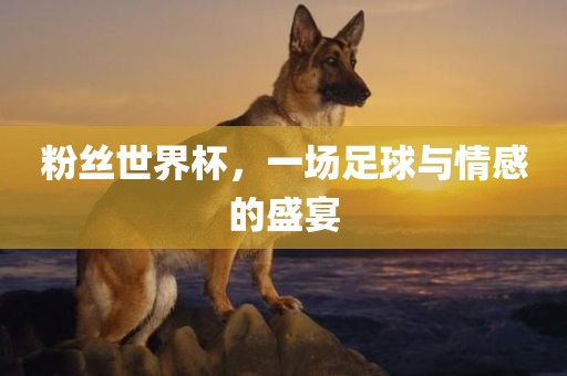 粉丝世界杯，一场足球与情感的盛宴漯河市盈旭机械设备有限公司