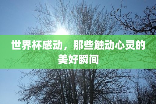 世界杯感动，漯河市盈旭机械设备有限公司那些触动心灵的美好瞬间