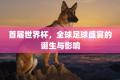 首届世界杯，全球足球盛宴的诞生与影响