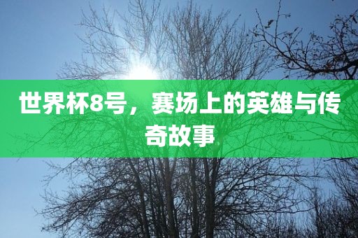 世界杯8号，赛场上的英雄与传奇故事