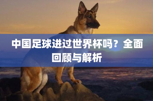 中国足球进过世界杯吗？全面回顾与解析